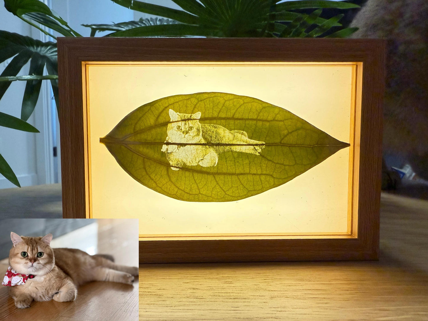 Pet Leaf Carving Art - A unique photo frame of your pet, a beautiful memory of the owner and the pet