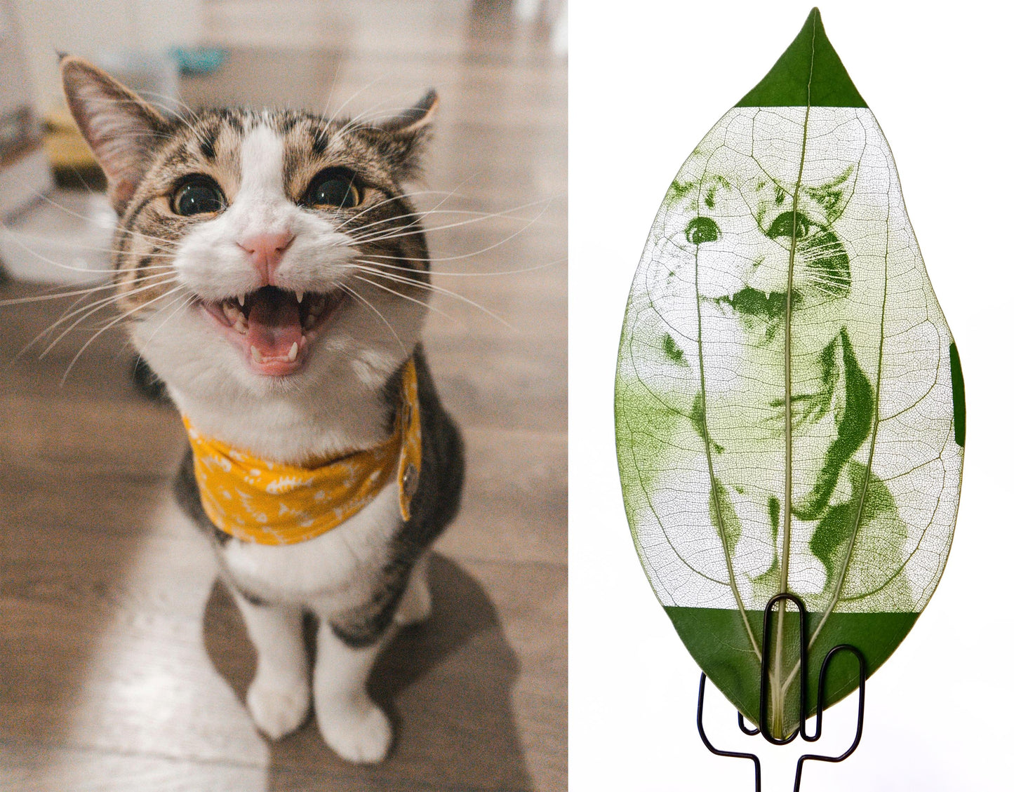 Pet Leaf Carving Art - A unique photo frame of your pet, a beautiful memory of the owner and the pet