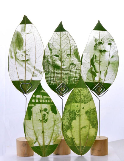 Pet Leaf Carving Art - A unique photo frame of your pet, a beautiful memory of the owner and the pet