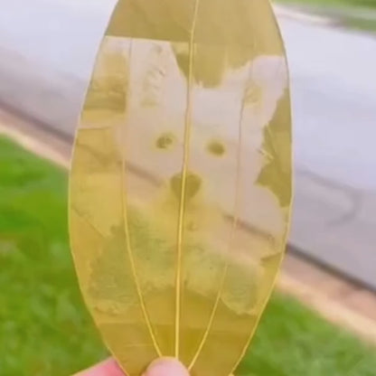 Pet Leaf Carving Art – A Personalized Photo Frame Tribute to Your Beloved Pet