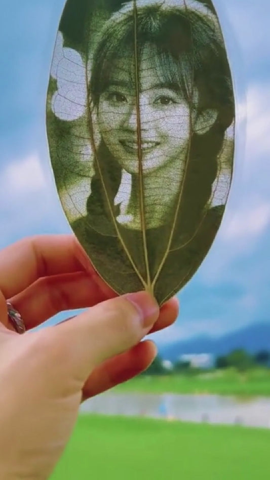 Cinnamon Leaf Carving Art - For 1 Person Photo, Gift Box Packaging, Display as a Night Light with LED Light Frame